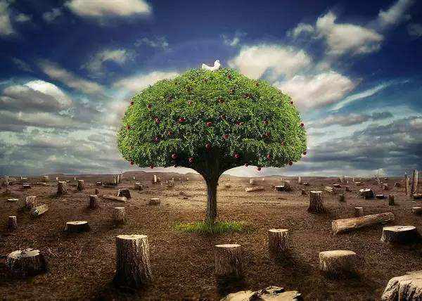 第三方環(huán)境檢測機構(gòu) 第三方環(huán)境檢測機構(gòu)