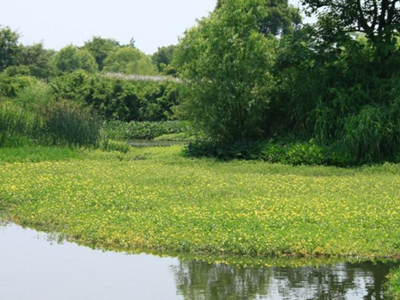 深圳水質(zhì)檢測 深圳水質(zhì)檢測