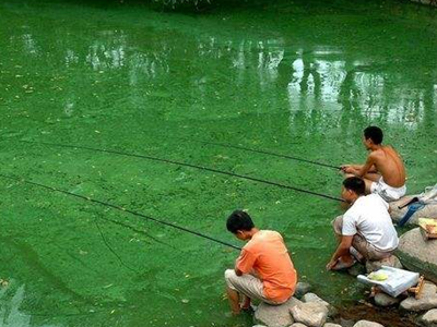 深圳水質(zhì)檢測(cè) 深圳水質(zhì)檢測(cè)