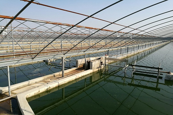 漁業(yè)養(yǎng)殖水質(zhì)檢測 漁業(yè)養(yǎng)殖水質(zhì)檢測