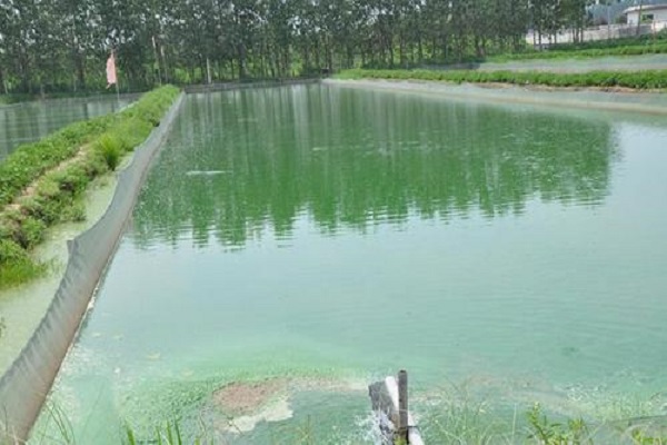 漁業(yè)養(yǎng)殖水檢測(cè) 漁業(yè)養(yǎng)殖水檢測(cè)